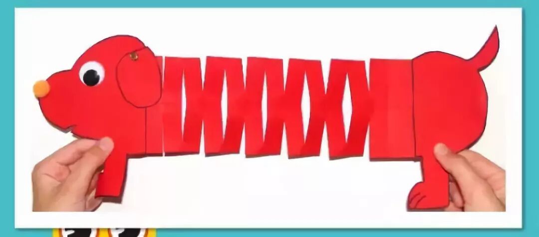 Complete spring paper dog