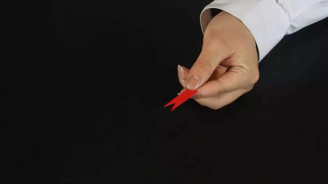 Complete spring snake