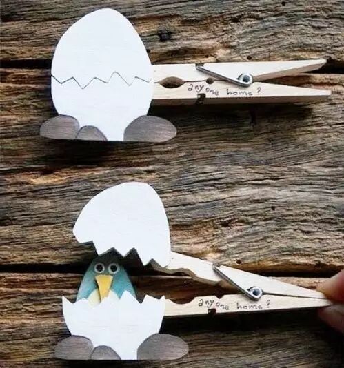 Handmade DIY of animals hatching