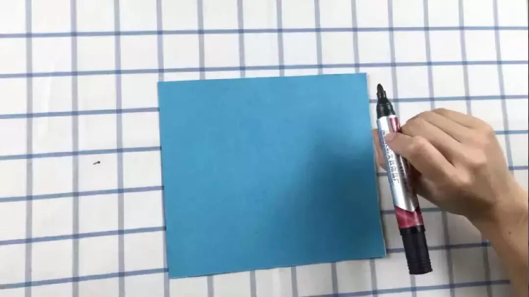 Whale with Open Mouth