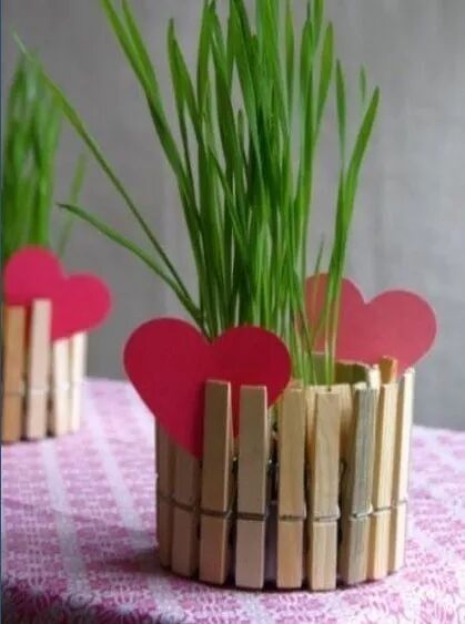 Steps for Making a Creative Potted Plant 1