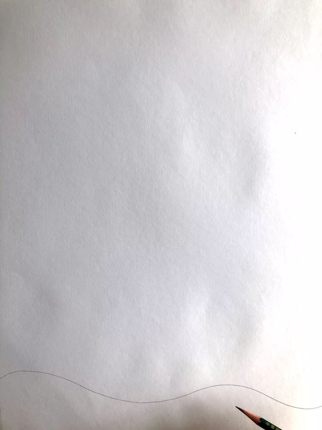 Draw the outline of a seahorse with a pencil