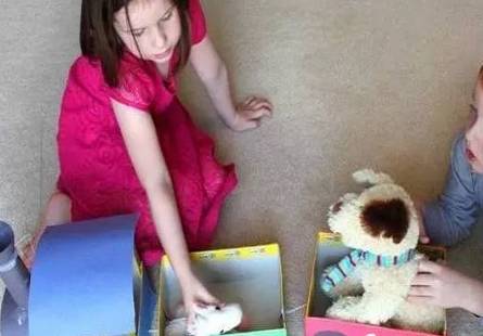 Finished Product Display-4